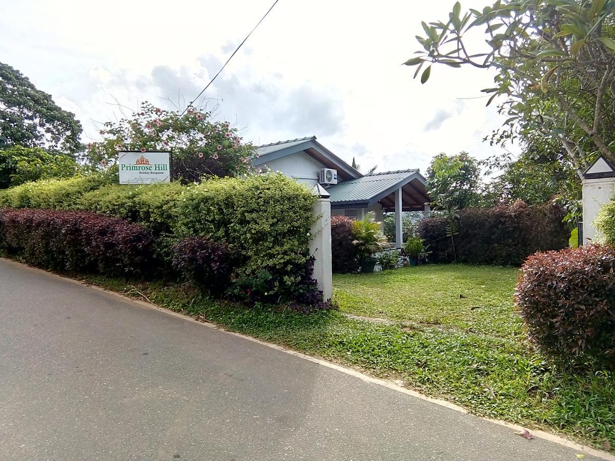 Primrose Hill Holiday Bunglow Kandy Bagian luar foto